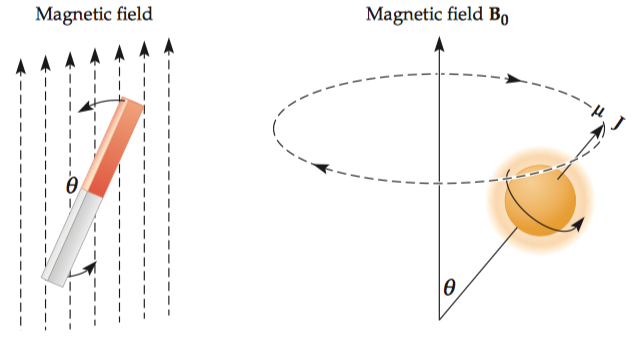 spin in magnetic field